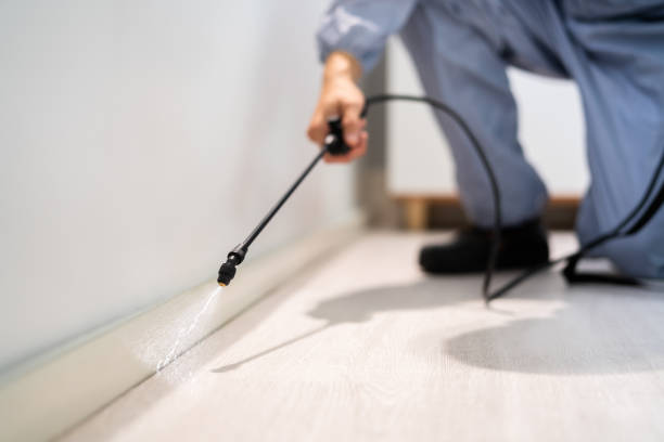 Licensed Pest Control service in Hanford, CA - Show Me Pest Control