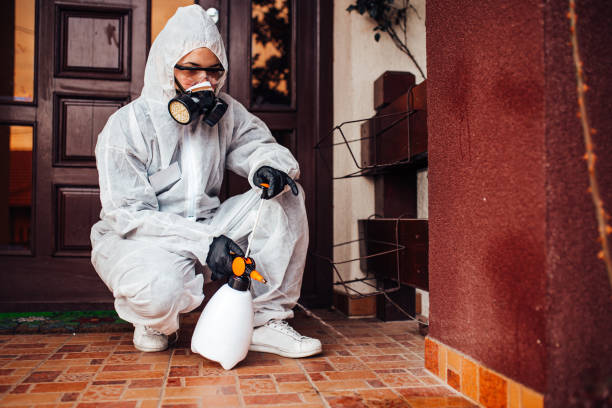 Attic and Crawl Space Rodent Treatment in Hanford