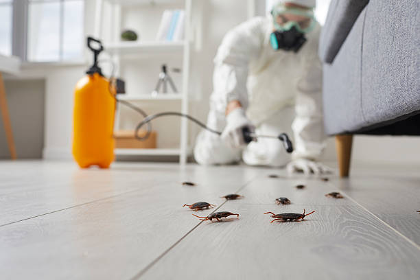 Commercial Rodent Management in Hanford